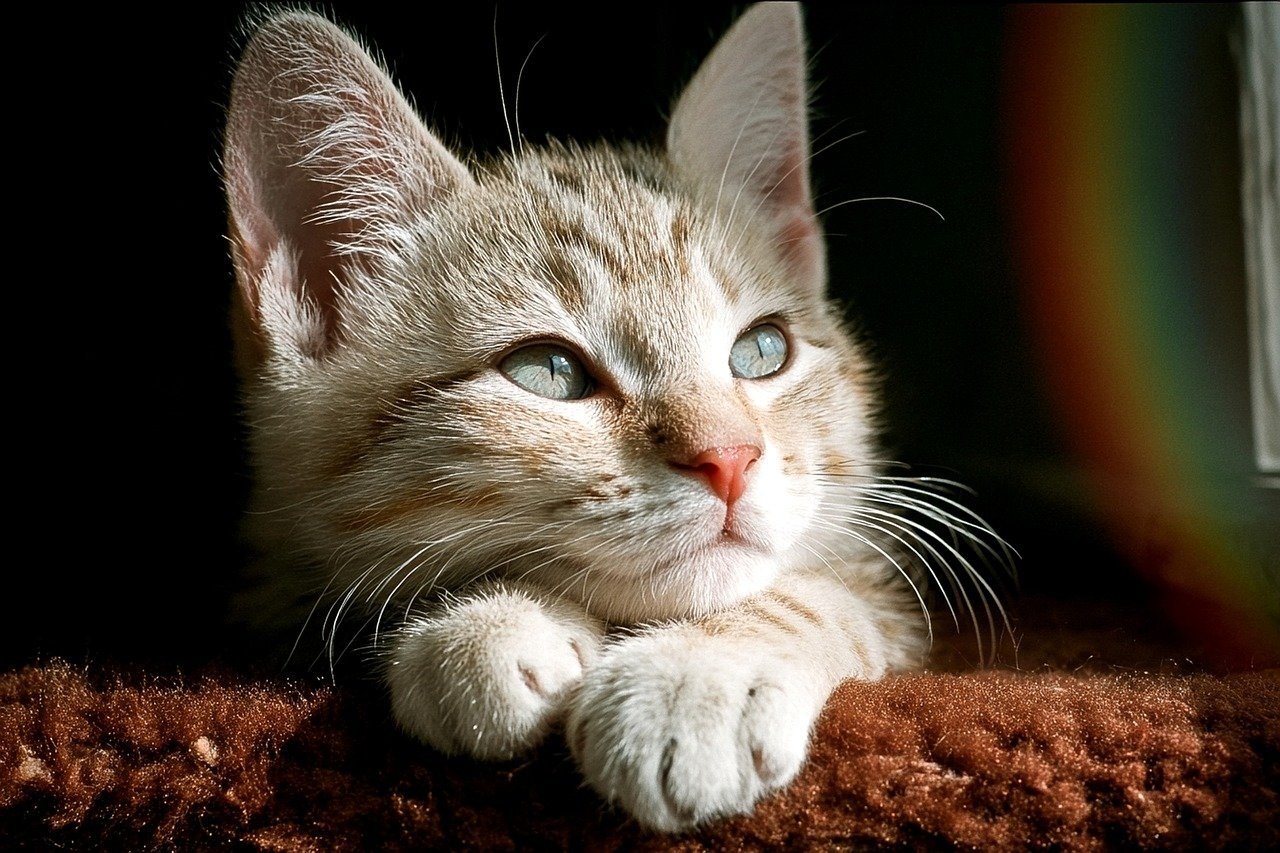 본론1(h3가 3개 있는 상태) 이미지 1